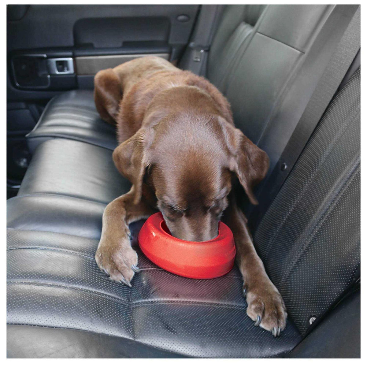 Water Bowl O196