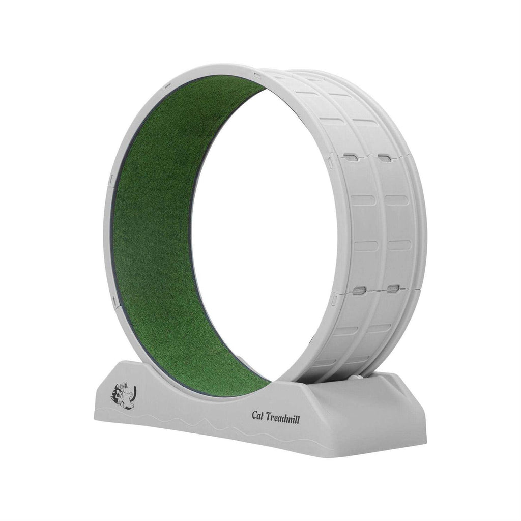 Cat Exercise Wheel with Locking Mechanism R8938