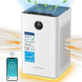 Air Purifier with H13 True HEPA J403