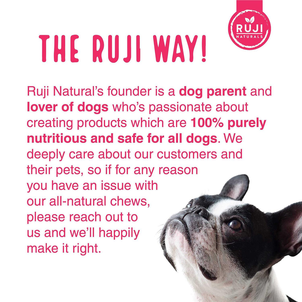 Multivitamin Superfood Dog Supplement C378496