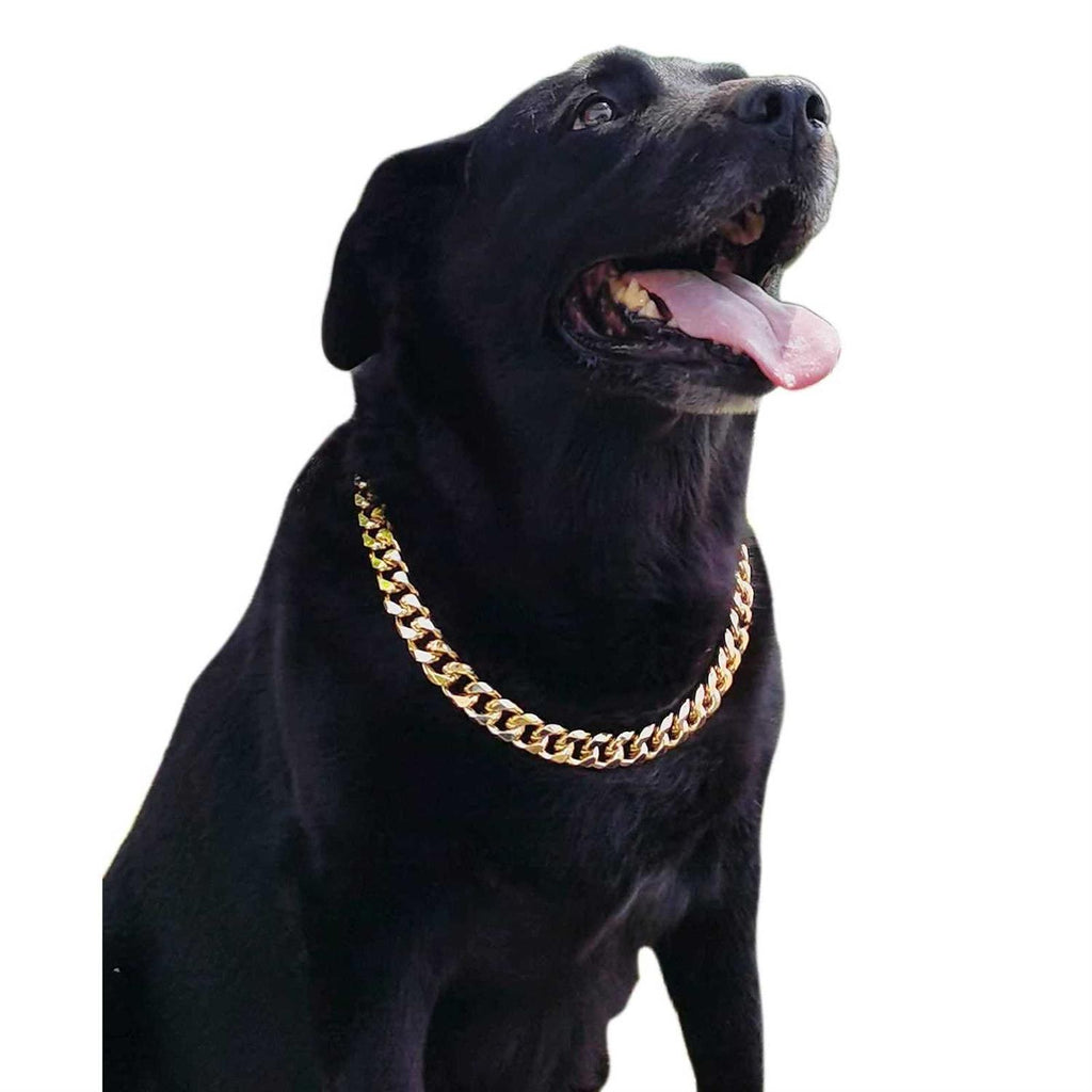 Gold Chain Cuban Link Dog Collar E111508