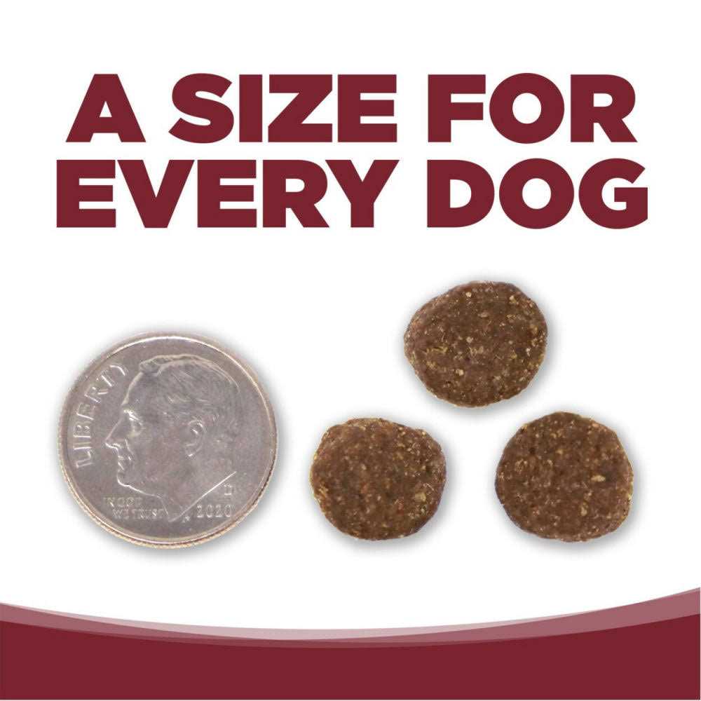 Beef Rice Dry Dog Food C362