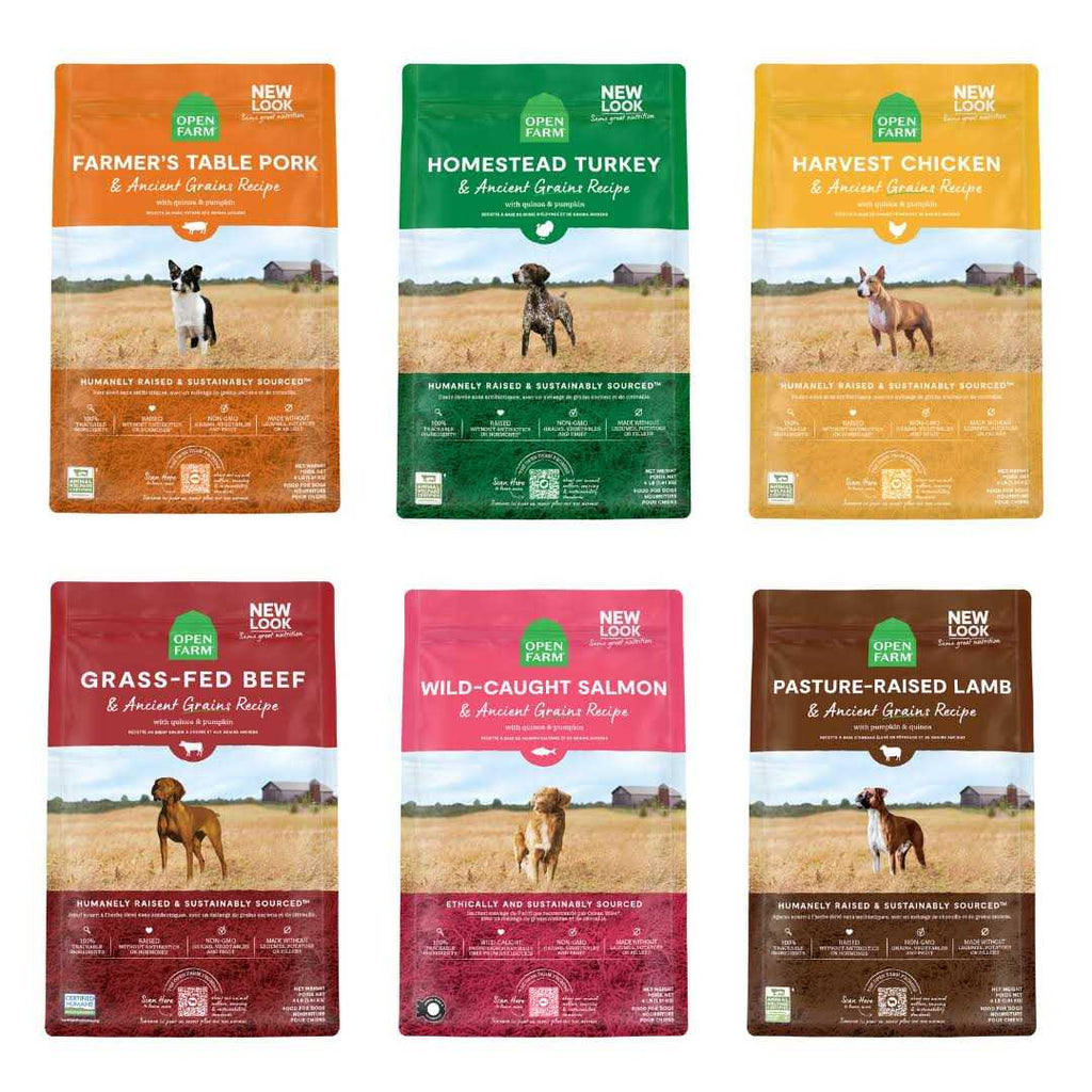 Whitefish & Ancient Grains Dry Dog Food C40268
