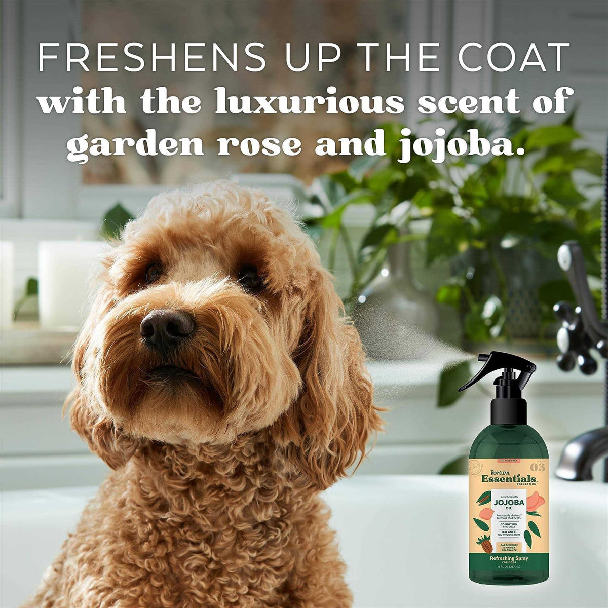 Jojoba Oil Deodorizing Spray B618680